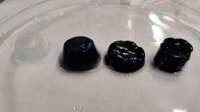 Diversas muestras del hidrogel. El color negro indica la aplicación de nanopartículas de polímero conductor.